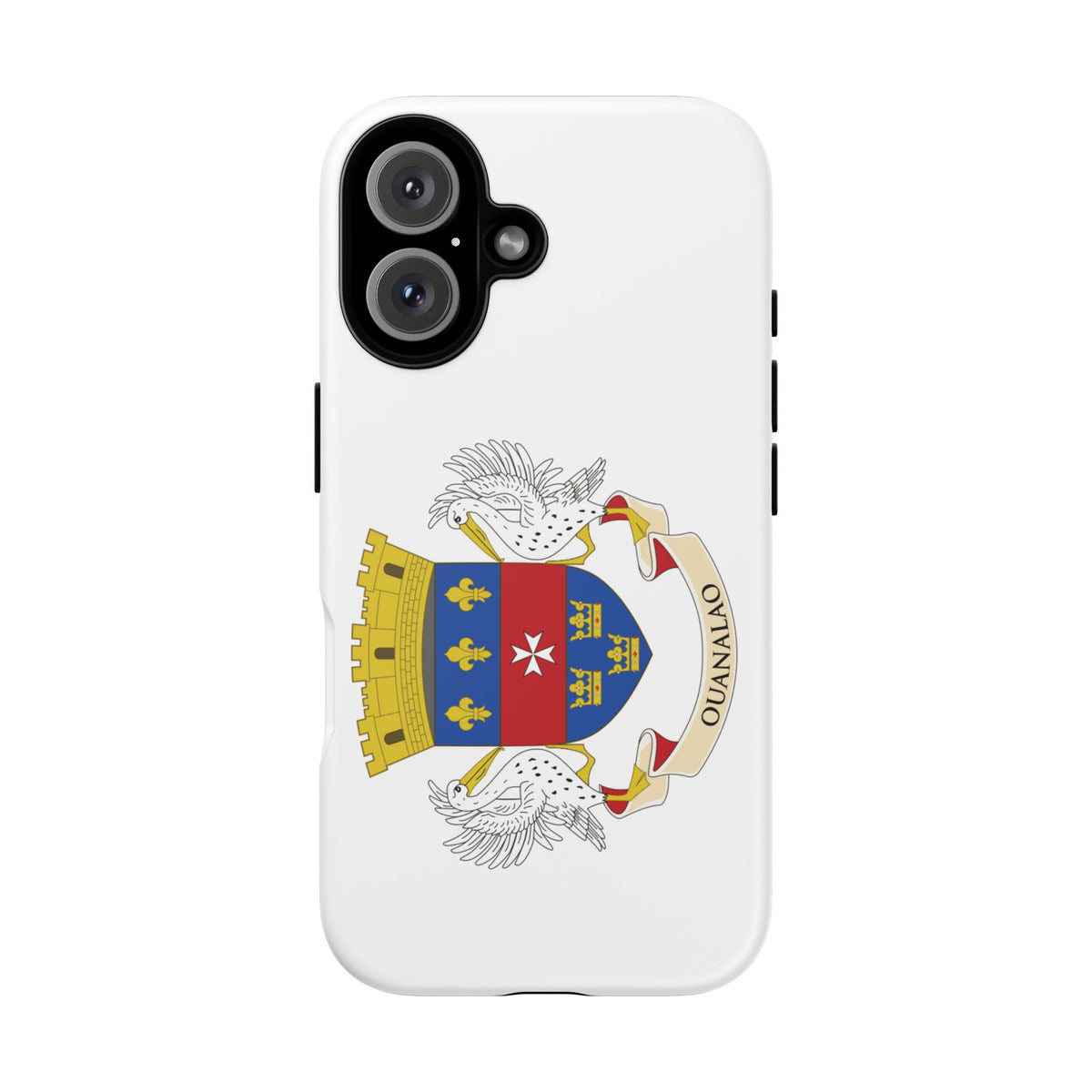 Saint Barthélemy Flag Tough Phone Case - Irie Blues Boutique