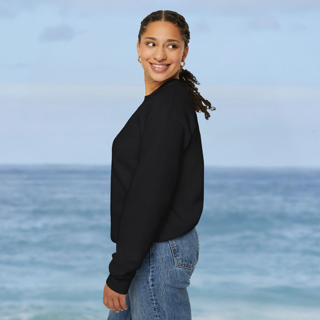 Aruba Caribbean University Sweatshirt - Irie Blues Boutique