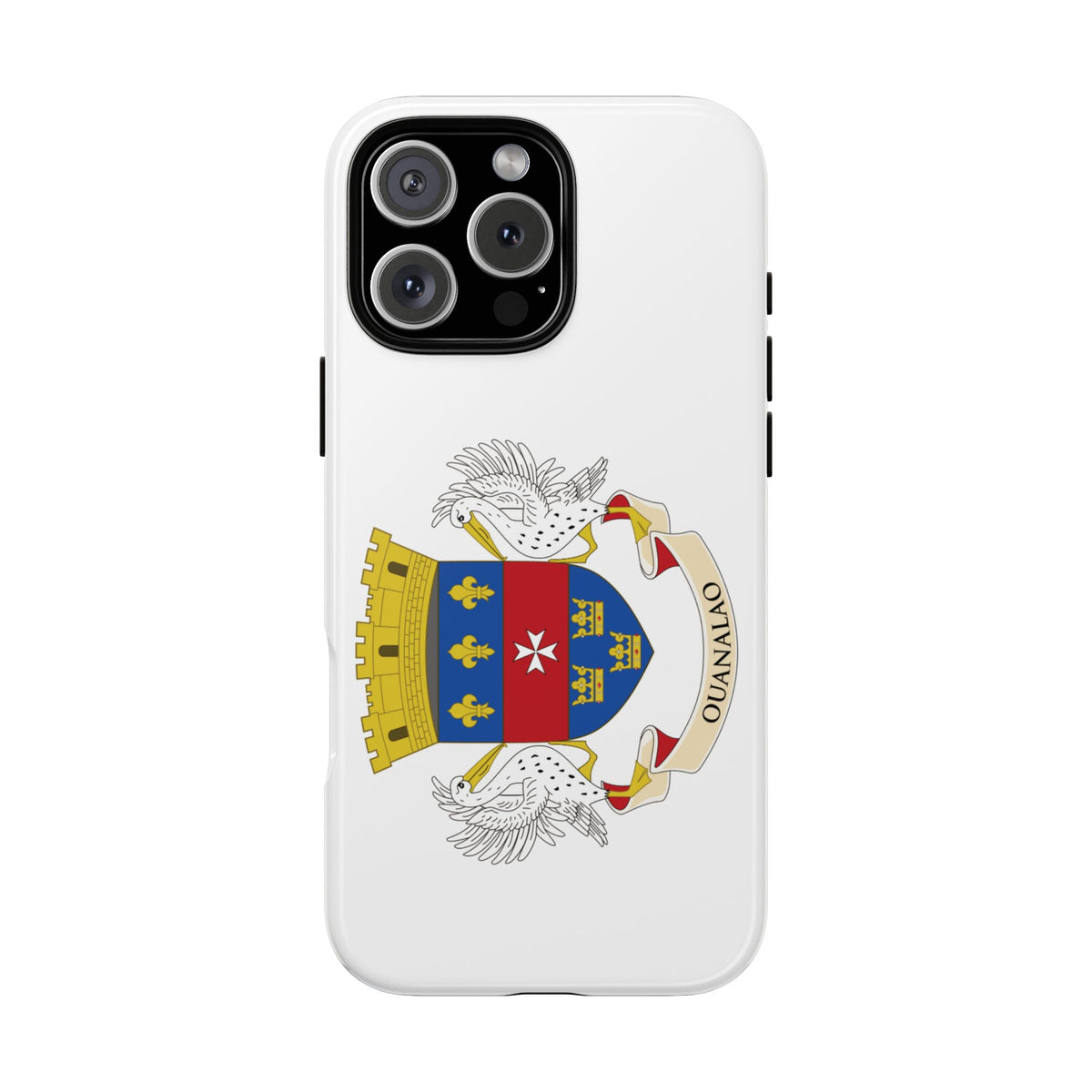 Saint Barthélemy Flag Tough Phone Case - Irie Blues Boutique