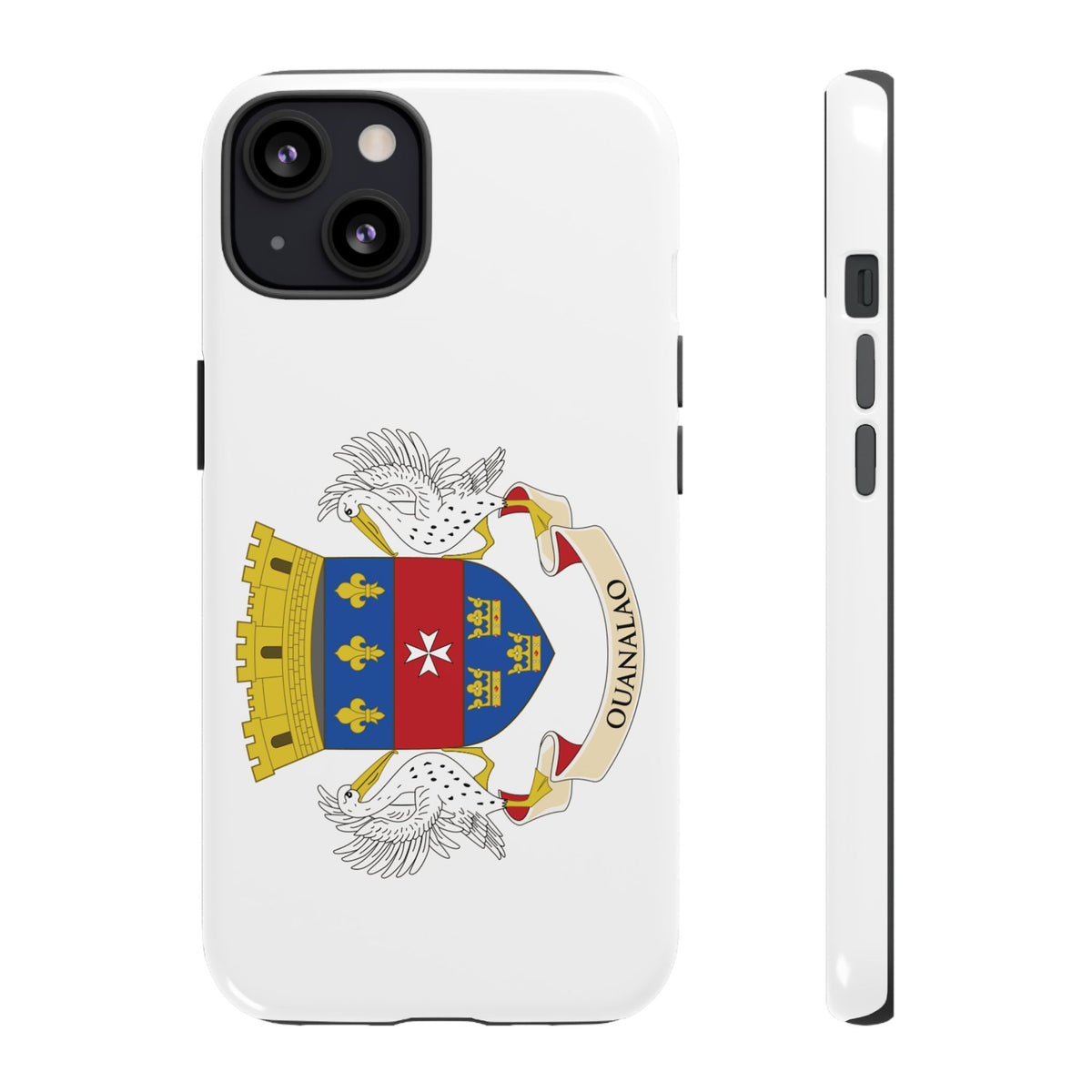 Saint Barthélemy Flag Tough Phone Case - Irie Blues Boutique