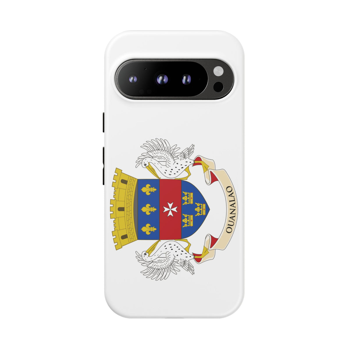 Saint Barthélemy Flag Tough Phone Case - Irie Blues Boutique