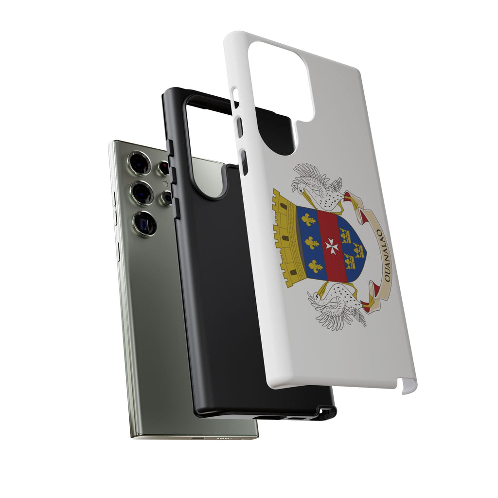 Saint Barthélemy Flag Tough Phone Case - Irie Blues Boutique