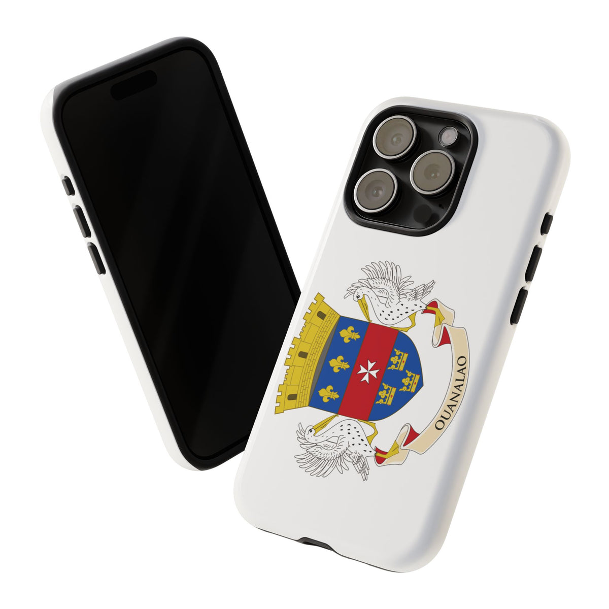Saint Barthélemy Flag Tough Phone Case - Irie Blues Boutique