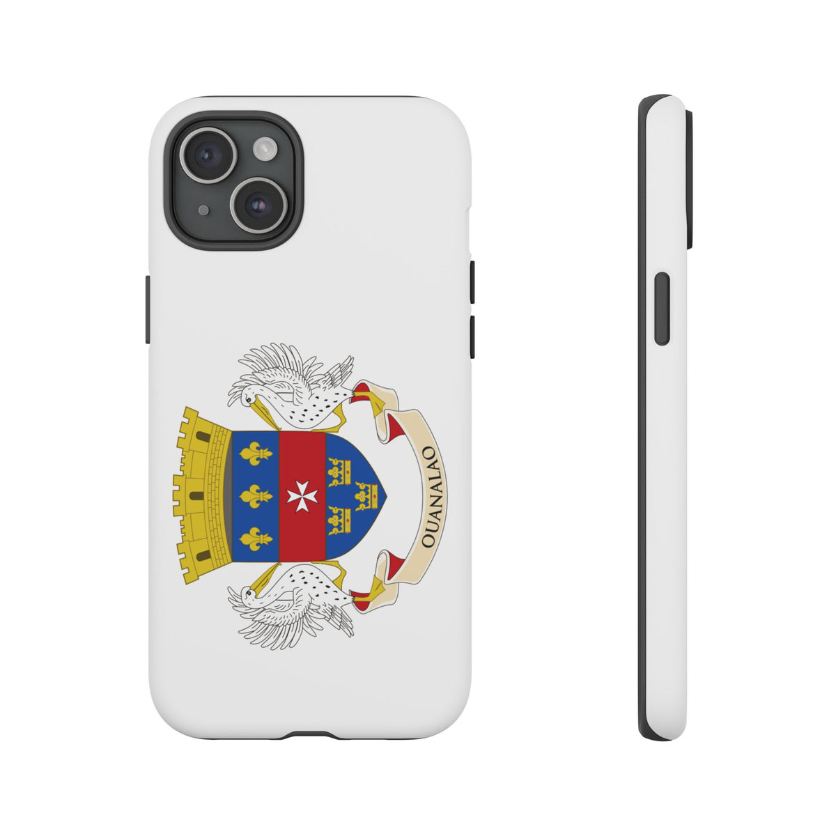 Saint Barthélemy Flag Tough Phone Case - Irie Blues Boutique