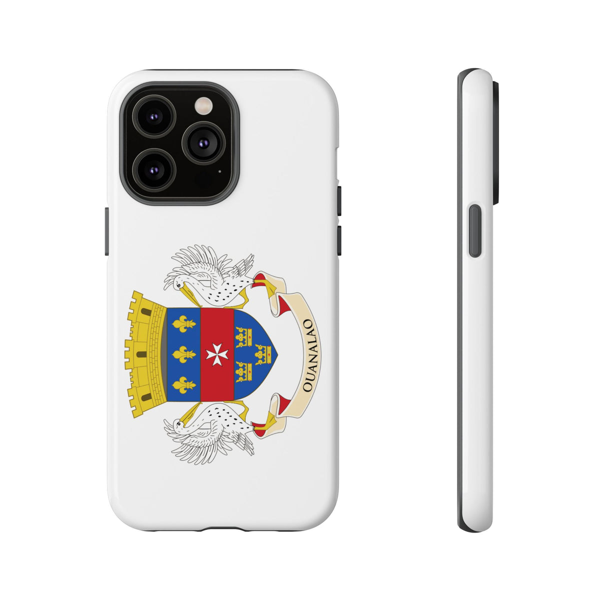 Saint Barthélemy Flag Tough Phone Case - Irie Blues Boutique
