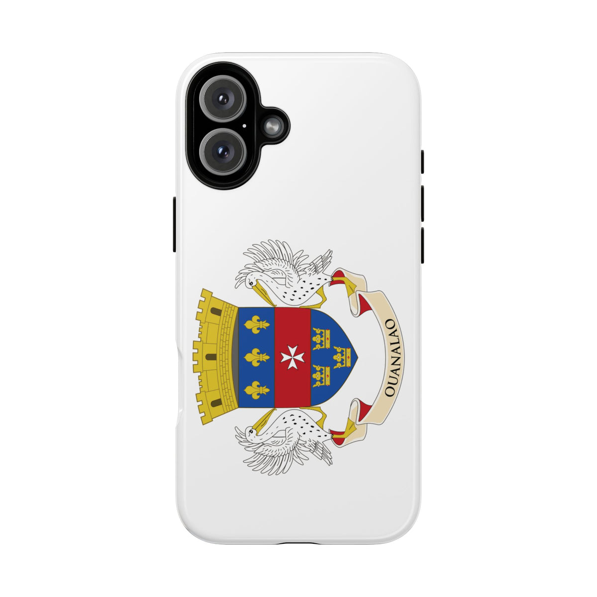 Saint Barthélemy Flag Tough Phone Case - Irie Blues Boutique