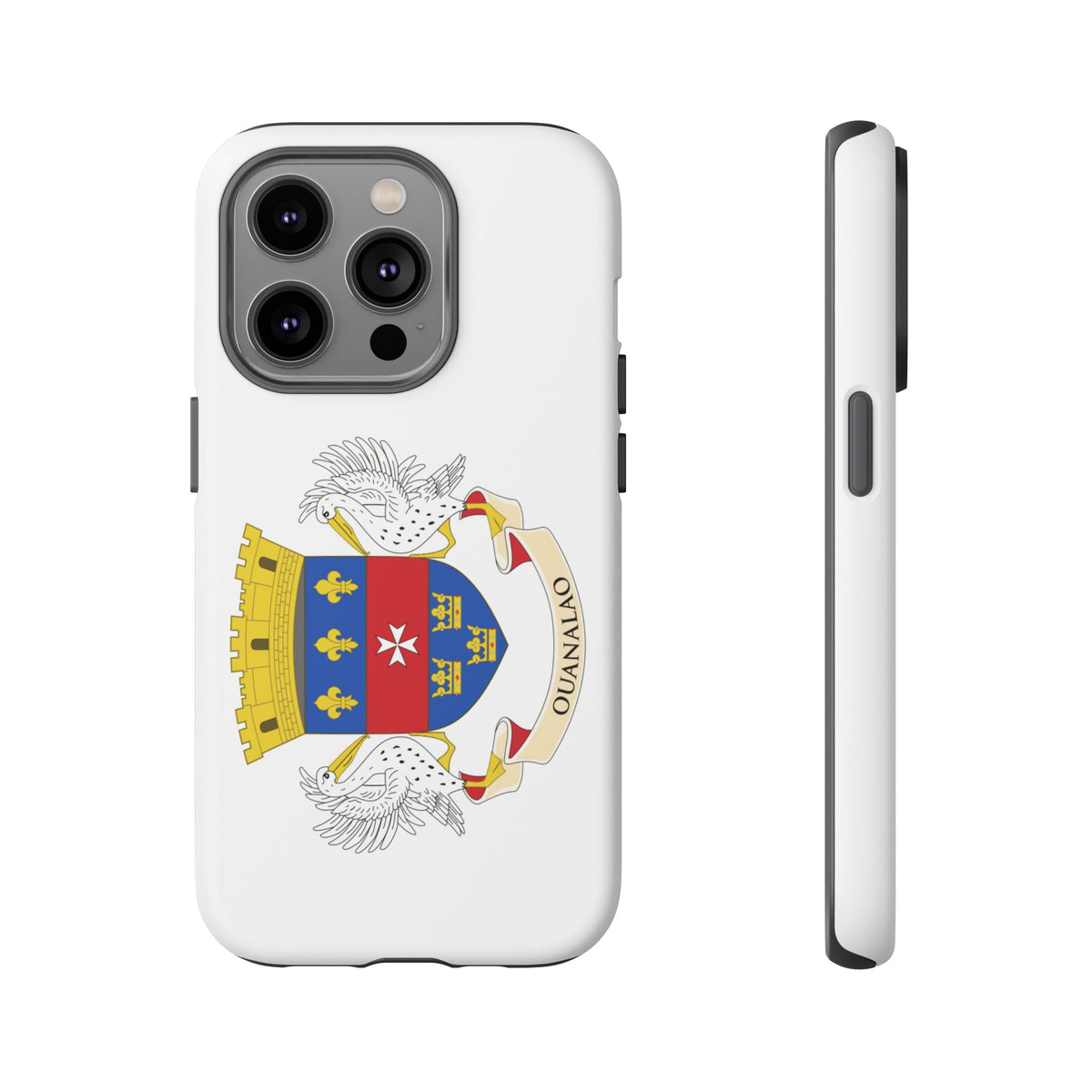 Saint Barthélemy Flag Tough Phone Case - Irie Blues Boutique