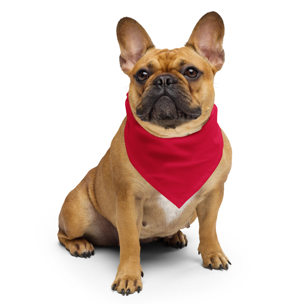 Bermuda Flag Bandana - Irie Blues Boutique
