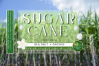 Sugar Cane Scented Soy Wax Candle - Irie Blues Boutique