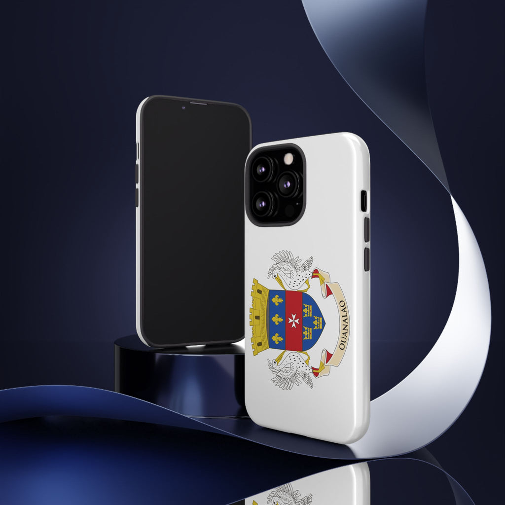 St Barthélemy Flag Tough Phone Case - Irie Blues Boutique
